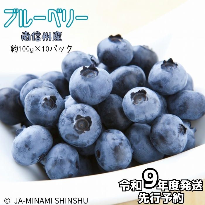 ブルーベリー 秀3L 100gパック×10入り　(令和9年度発送先行予約品)