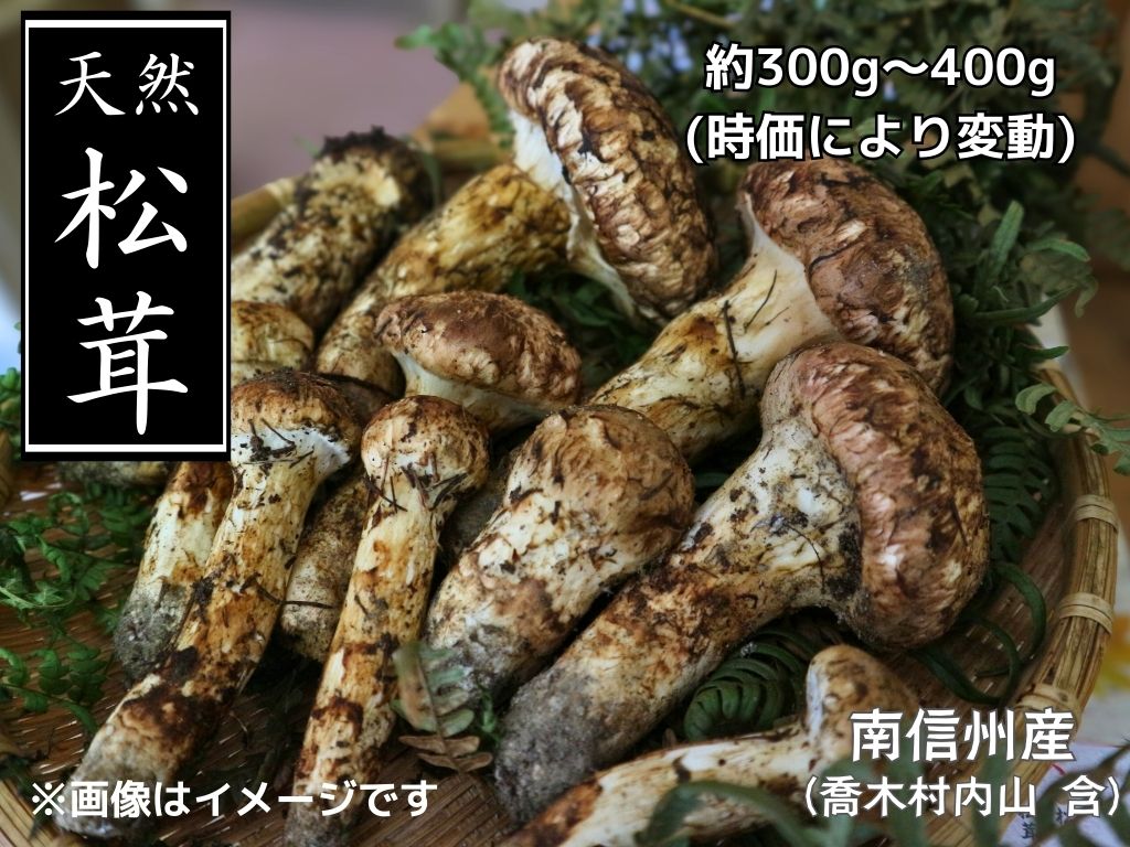 松茸