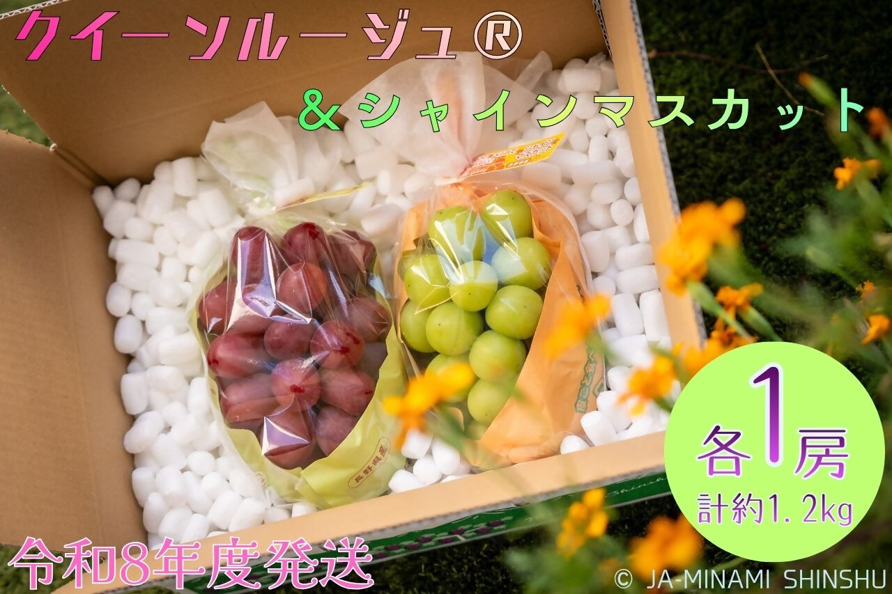 クイーンルージュ＆シャインマスカット 秀品 約1.2kg (各1房)　(令和8年度発送先行予約品)