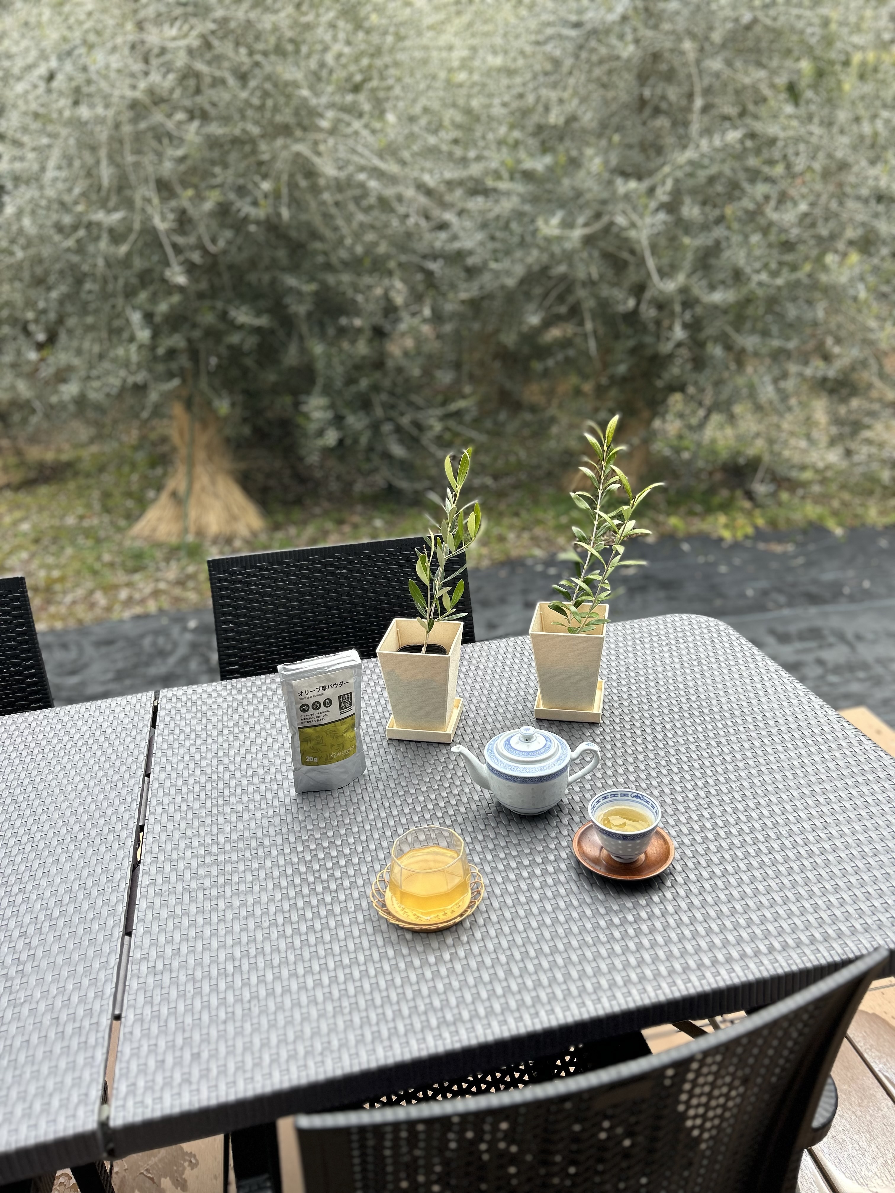 1çµéå®ã®å®¿ã倿°å®¶æ°å®¿ãªãªãŒããããªãªãŒããªãŒããã£ãŒã®è©Šé£²ãšé¢æ€ããªãªãŒãã®ãåç£ä»ãïŒæ³ãã©ã³ïŒ1åïœ4åïŒãã