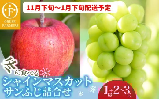 冬に食べるシャインマスカットとサンふじ詰合せ 1房（約500g） 2～3玉［おぶせファーマーズ］ ぶどう りんご 林檎 リンゴ 果物 フルーツ  長野 信州 数量限定 令和7年産【2025年11月下旬～2026年1月下旬発送】
