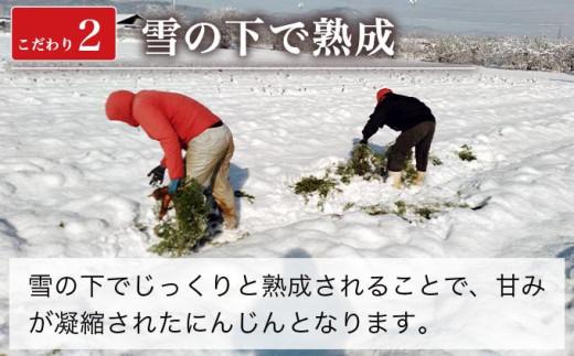 有機雪下にんじん 約9kg 栽培期間中農薬・化学肥料不使用 ［くりのみ園］ 人参 ニンジン 野菜 やさい 長野県産 信州産 期間限定 長野県産 信州産 国産 小布施町 【2026年1月～3月発送】 ［H-95］