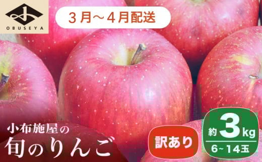［訳あり］ 選べる配送時期 旬のりんご 約3kg 6～14玉 ［小布施屋］ 傷 規格外 不揃い 訳アリ 家庭用 りんご 林檎 リンゴ 果物 フルーツ 長野県産 信州産 特産 産地直送 産直 数量限定 先行予約 3月発送 4月発送 令和7年産 【2026年3月～2026年4月配送】