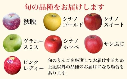 ［訳あり］ 選べる配送時期 旬のりんご 約3kg 6～14玉 ［小布施屋］ 傷 規格外 不揃い 訳アリ 家庭用 りんご 林檎 リンゴ 果物 フルーツ 長野県産 信州産 特産 産地直送 産直 数量限定 先行予約 3月発送 4月発送 令和7年産 【2026年3月～2026年4月配送】［A-304e］