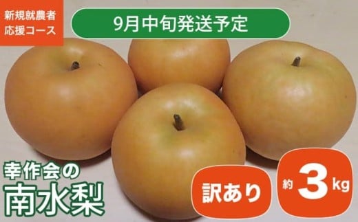 【訳あり】南水 約3kg ［新規就農者応援コース 幸作会］ 梨 なし フルーツ 果物 ワケアリ 傷 キズ 不揃い 規格外 家庭用 長野県産 信州 数量限定 【2025年9月中旬発送】
