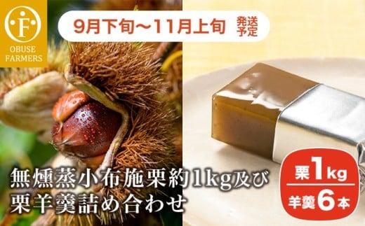 無燻蒸小布施栗約1kg及び栗羊羹詰め合わせ ［おぶせファーマーズ］ 果物 フルーツ 生栗 くり 栗 無くん蒸　スイーツ 和菓子 かのこ 羊羹 栗羊羹 ようかん 詰め合わせ 長野県産 信州産 令和7年産 【2025年9月下旬～11月上旬発送】