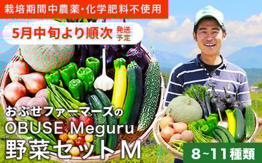 ［ 栽培期間中 農薬・化学肥料不使用］ OBUSE Meguru 野菜セット M 8～11種類 ［おぶせファーマーズ］野菜 詰め合わせ おまかせ やさい 詰合せ お楽しみ 長野県産 信州 令和7年産 【2025年5月中旬より順次発送】