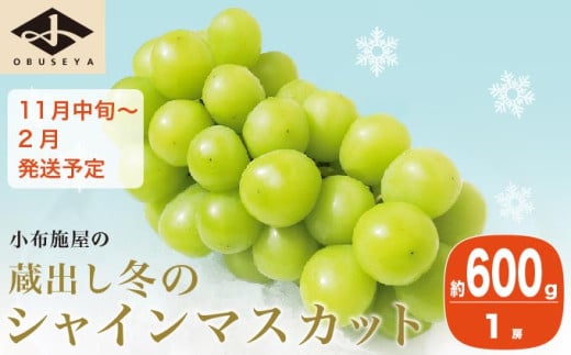 蔵出し冬のシャインマスカット 約600g 1房 ［小布施屋 ］長野県 ぶどう フルーツ 果物 冷蔵便 クール便 令和7年産【2025年11月中旬～2026年2月発送】