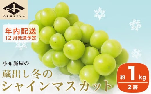 蔵出し冬のシャインマスカット 約1kg 2房 年内配送 ［小布施屋 ］長野県 ぶどう フルーツ 果物 冷蔵便 クール便 令和7年産【2025年12月発送】