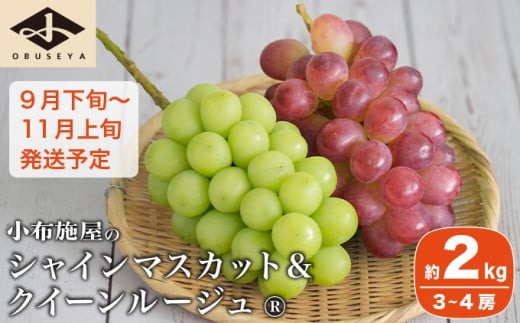 シャインマスカット＆クイーンルージュ_ 約2kg 3～4房 ［小布施屋］ 果物 フルーツ ぶどう 葡萄 令和7年産【2025年9月下旬～11月上旬発送】