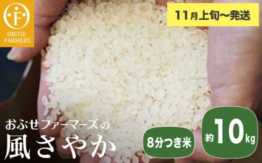 風さやか 8分つき米 約10kg ［ おぶせファーマーズ ］ お米 コメ おこめ ご飯 精米 長野県産 【2025年11月上旬～発送】