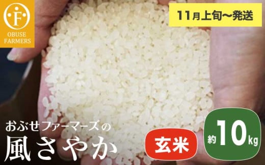 風さやか 玄米  約10kg ［ おぶせファーマーズ ］ お米 コメ おこめ ご飯 精米 長野県産 【2025年11月上旬～発送】