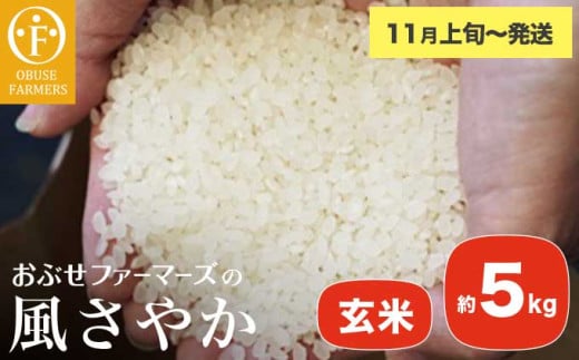 風さやか 玄米  約5kg ［ おぶせファーマーズ ］ お米 コメ おこめ ご飯 精米 長野県産 【2025年11月上旬～発送】