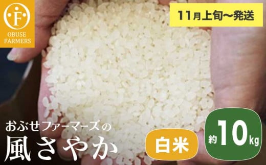 風さやか 白米  約10kg ［ おぶせファーマーズ ］ お米 コメ おこめ ご飯 精米 長野県産 【2025年11月上旬～発送】