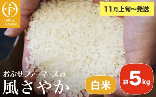 風さやか 白米  約5kg ［ おぶせファーマーズ ］ お米 コメ おこめ ご飯 精米 長野県産 【2025年11月上旬～発送】