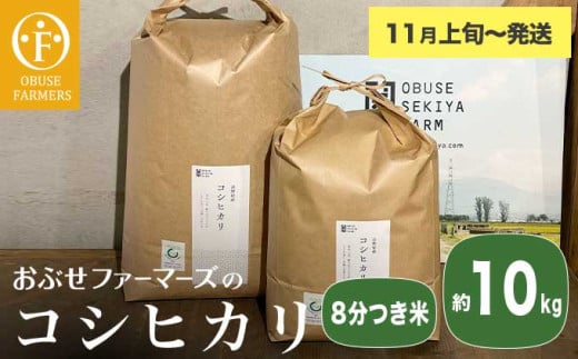 コシヒカリ 8分つき米  約10kg ［ おぶせファーマーズ ］ お米 コメ おこめ ご飯 精米 長野県産 【2025年11月上旬～発送】