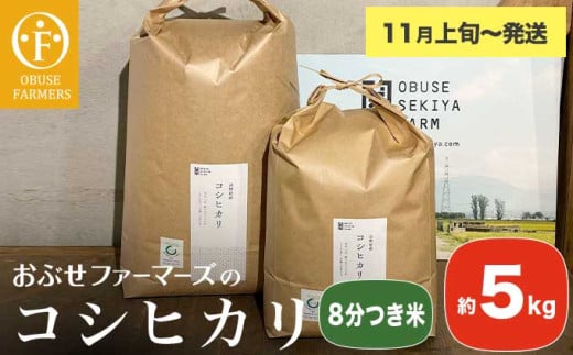 コシヒカリ 8分つき米  約5kg ［ おぶせファーマーズ ］ お米 コメ おこめ ご飯 精米 長野県産 【2025年11月上旬～発送】