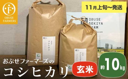 コシヒカリ 玄米  約10kg ［ おぶせファーマーズ ］ お米 コメ おこめ ご飯 精米 長野県産 【2025年11月上旬～発送】