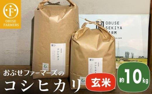 コシヒカリ 玄米  約10kg ［ おぶせファーマーズ ］ お米 コメ おこめ ご飯 精米 長野県産 ［FK-14］