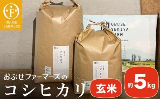 コシヒカリ 玄米  約5kg ［ おぶせファーマーズ ］ お米 コメ おこめ ご飯 精米 長野県産 ［FK-13］