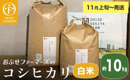 コシヒカリ 白米  約10kg ［ おぶせファーマーズ ］ お米 コメ おこめ ご飯 精米 長野県産 【2025年11月上旬～発送】