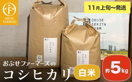 コシヒカリ 白米  約5kg ［ おぶせファーマーズ ］ お米 コメ おこめ ご飯 精米 長野県産 【2025年11月上旬～発送】