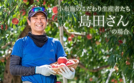 季節の桃 約2kg 5～9玉［ おぶせファーマーズ ］桃 もも モモ ピーチ フルーツ 果物 たまき なつき あかつき 川中島白鳳 なつっこ 川中島白桃 黄金桃 だて白桃 先行予約 長野県産 信州産 クール便 冷蔵便 お取り寄せ 産地直送 数量限定 産地 直送 令和8年産【2026年7月中旬～9月中旬発送】