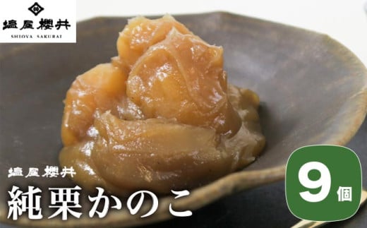 純栗かのこ 9個 ［塩屋櫻井］ 栗菓子 栗きんとん 栗あん お菓子 栗 スイーツ 和菓子 長野 信州 くり お取り寄せ ご当地 送料無料 個包装