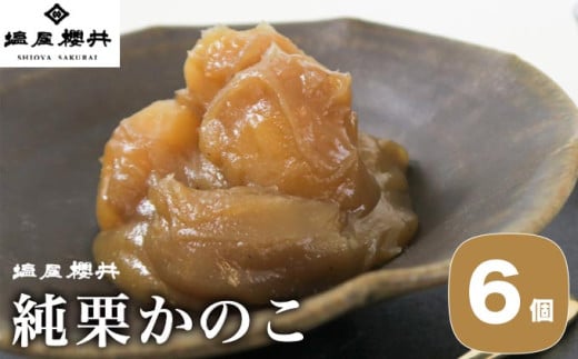 純栗かのこ 6個 ［塩屋櫻井］ 栗菓子 栗きんとん 栗あん お菓子 栗 スイーツ 和菓子 長野 信州 くり お取り寄せ ご当地 送料無料 個包装