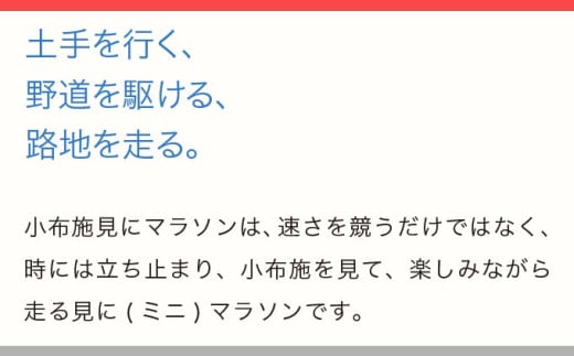 第23回 小布施見にマラソン 出走権 1名分 駐車券あり 2026 ［小布施見にマラソン実行委員会］ マラソン大会 ハーフマラソン 出走券 チケット スポーツ 仮装 コスチューム 参加券 大会 期間限定 送料無料 長野県 小布施町 ［O-4］