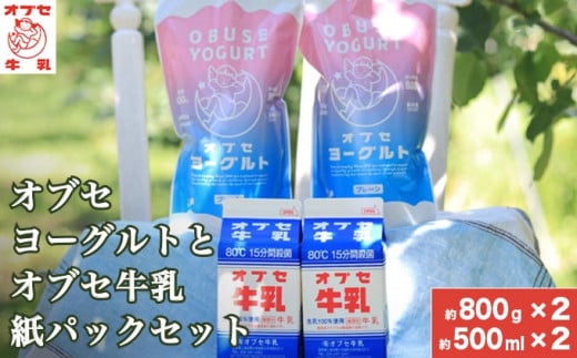 オブセヨーグルト (プレーン) 2個とオブセ牛乳 500ml 紙パック 2本 セット［オブセ牛乳］ 牛乳 ミルク 生乳 ヨーグルト 乳製品 食品  お取り寄せ グルメ 生乳100% 朝食 スイーツ おやつ 冷蔵 長野県小布施町産