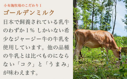 å°åžæœç§å Žãžã£ãŒãžãŒãã«ã¯ã¢ã€ã¹ 750ml à 2å å°åžæœç§å ŽïŒœã¢ã€ã¹ãã«ã¯ ã¢ã€ã¹ ã¹ã€ãŒã ãã¶ãŒã èå ãåãå¯ã