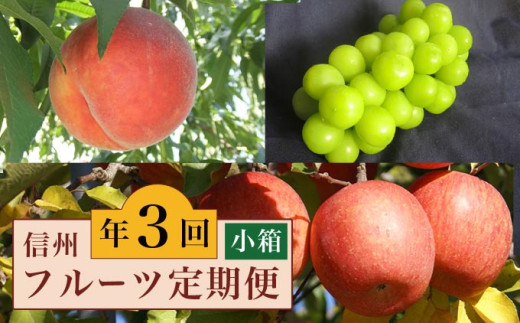 ［3回定期便］ 信州のフルーツ3回コース 小箱 ［小布施屋］ 定期便 先行予約 フルーツ 数量限定 白桃 シャインマスカット ぶどう りんご お楽しみ 3回お届け 長野県産 信州産 令和8年産 【2026年7月～12月発送】