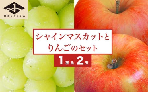 シャインマスカット1房とりんご2玉 詰め合わせ ［小布施屋］果物 詰合せ セット フルーツ ぶどう 林檎 シャインマスカット 数量限定 期間限定 先行予約 冷蔵便 クール便 長野県産 信州産 送料無料 令和7年産 【2025年9月下旬頃～11月上旬頃まで順次発送】