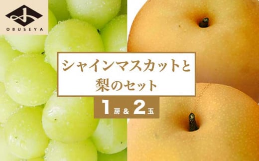 シャインマスカット1房と梨2玉 詰め合わせ ［小布施屋］果物 詰合せ セット フルーツ ぶどう なし シャインマスカット 先行予約 期間限定 冷蔵便 クール便 数量限定 長野県産 信州産 令和8年産 【2026年9月中旬頃～10月下旬頃まで順次発送】