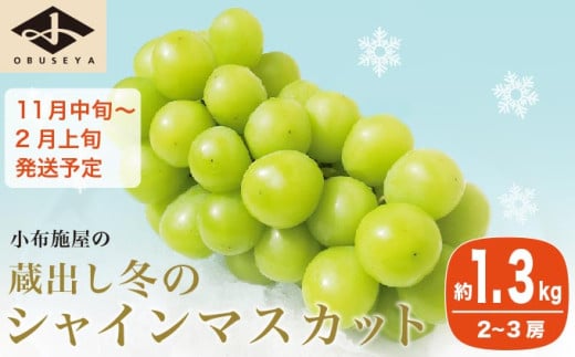 蔵出し冬のシャインマスカット 約1.3kg 2～3房 ［小布施屋 ］長野県 ぶどう フルーツ 果物 冷蔵便 クール便 令和7年産【2025年11月中旬～2026年2月発送】