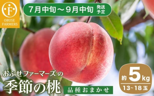 季節の桃 約5kg 13～18玉［ おぶせファーマーズ ］桃 もも モモ ピーチ フルーツ 果物 たまき なつき あかつき 川中島白鳳 なつっこ 川中島白桃 黄金桃 だて白桃 先行予約 長野県産 信州産 クール便 冷蔵便 お取り寄せ 産地直送 数量限定 産地 直送 令和8年産【2026年7月中旬～9月中旬発送】