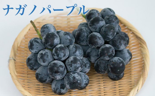 3åå®æäŸ¿ïŒœ é«çŽã¶ã©ãé£ã¹æ¯ã¹å®æäŸ¿ çŽ1kg à 3å åèšçŽ3kg å°åžæœå±ïŒœ ãã«ãŒã æç© ãã ãã® ã¶ã©ã è¡è ãã㊠ã¯ãŒã«äŸ¿ å·èµ ãæ¥œãã¿ ãã¬ãããŒãã« ã¯ã€ãŒã³ã«ãŒãžã¥_ ã·ã£ã€ã³ãã¹ã«ãã 什å8å¹Žç£ ã2026幎9æäžæ¬ïœ11æäžæ¬çºéã