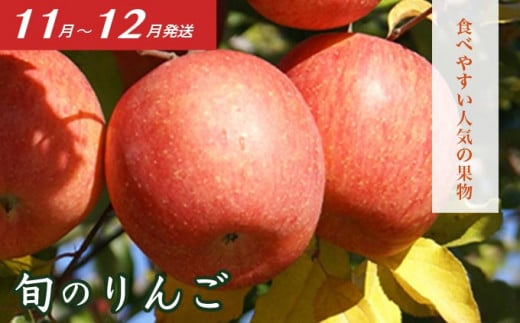 ［3回定期便］ 信州フルーツ3回コース ［小布施屋］ 定期便 先行予約 フルーツ 数量限定 白桃 シャインマスカット ぶどう りんご お楽しみ 3回お届け 長野県産 信州産 令和8年産 【2026年7月～12月発送】[M-2]