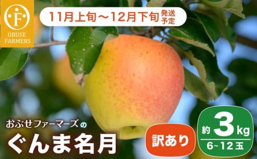 【訳あり】ぐんま名月 約3kg 6〜12玉 ［ おぶせファーマーズ ］ 果物類 林檎 りんご リンゴ 規格外 不揃い 数量限定 フルーツ 長野県産 信州産 6000円 令和7年産 【2025年11月上旬〜12月下旬発送】