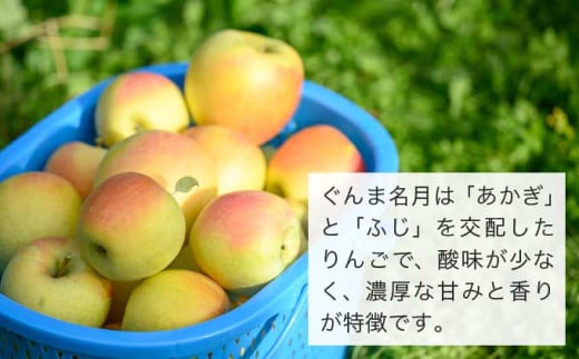 【訳あり】ぐんま名月 約3kg 6〜12玉 ［ おぶせファーマーズ ］ 果物類 林檎 りんご リンゴ 規格外 不揃い 数量限定 フルーツ 長野県産 信州産 6000円 令和7年産 【2025年11月上旬〜12月下旬発送】