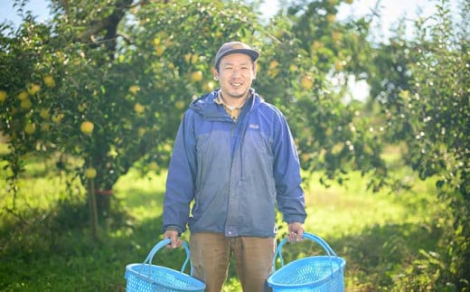 【訳あり】ぐんま名月 約3kg 6〜12玉 ［ おぶせファーマーズ ］ 果物類 林檎 りんご リンゴ 規格外 不揃い 数量限定 フルーツ 長野県産 信州産 6000円 令和7年産 【2025年11月上旬〜12月下旬発送】