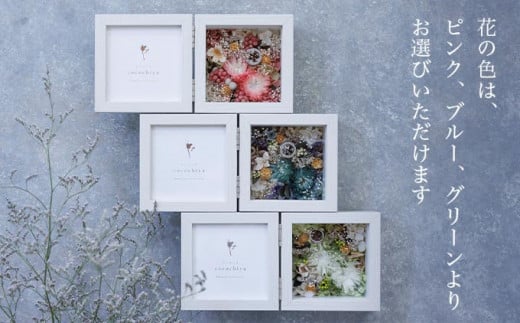 繝輔Λ繝ッ繝シ繝輔か繝医ヵ繝ャ繝シ繝繝サ繝励メシサ闃ア縺ィ譛ィ縺ョ螳歡ocochiyaシス 繝励Μ繧カ繝シ繝悶ラ繝輔Λ繝ッ繝シ