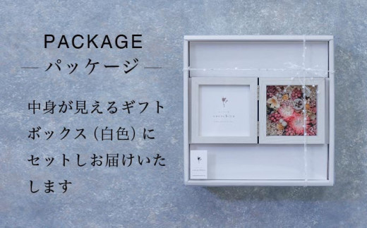 繝輔Λ繝ッ繝シ繝輔か繝医ヵ繝ャ繝シ繝繝サ繝励メシサ闃ア縺ィ譛ィ縺ョ螳歡ocochiyaシス 繝励Μ繧カ繝シ繝悶ラ繝輔Λ繝ッ繝シ