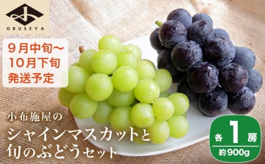 シャインマスカットと旬のぶどう 詰め合わせ 各1房 約900g［小布施屋］ 食べ比べ 果物 詰合せ セット フルーツ ぶどう 詰合せ 数量限定 長野県産 信州産 2種 くだもの フルーツセット おまかせ ブドウ  2026 先行予約 令和8年産 【2026年9月中旬～10月下旬発送】 ［A-229］