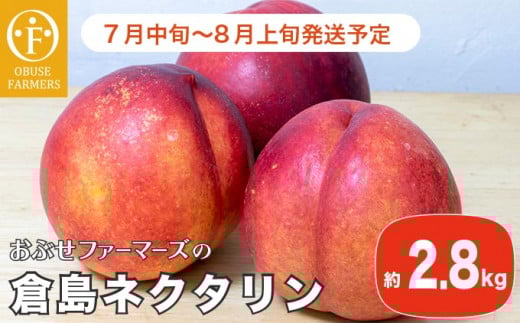 長野産 倉島ネクタリン 約2.8kg ［おぶせファーマーズ］先行予約 ネクタリン 果物 フルーツ 冷蔵便 クール便 長野県産 信州産 令和8年産【2026年7月中旬～8月上旬発送】