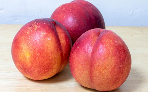 é·éç£ åå³¶ãã¯ã¿ãªã³ çŽ2.8kg ãã¶ããã¡ãŒããŒãºïŒœå
è¡äºçŽ ãã¯ã¿ãªã³ æç© ãã«ãŒã å·èµäŸ¿ ã¯ãŒã«äŸ¿ é·éçç£ ä¿¡å·ç£ 什å8幎ç£ã2026幎7æäžæ¬ïœ8æäžæ¬çºéã