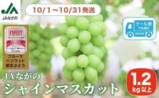 シャインマスカット 約1.2kg ［JAながの］ 果物 フルーツ 旬 ぶどう ブドウ くだもの 葡萄 長野県産 種なし 先行予約 数量限定 クール便 冷蔵便 産地直送 フルーツハリウッド 令和7年産 【2025年10月発送】