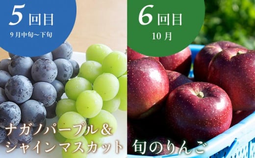 【10回定期便】小布施屋のフルーツ定期便　年10回コース ［小布施屋］ 定期便 頒布会 フルーツ 果物 信州 令和8年産 【2026年6月中旬～2027年2月発送】［E-9］