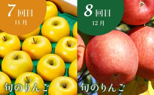 【10回定期便】小布施屋のフルーツ定期便　年10回コース ［小布施屋］ 定期便 頒布会 フルーツ 果物 信州 令和8年産 【2026年6月中旬～2027年2月発送】［E-9］